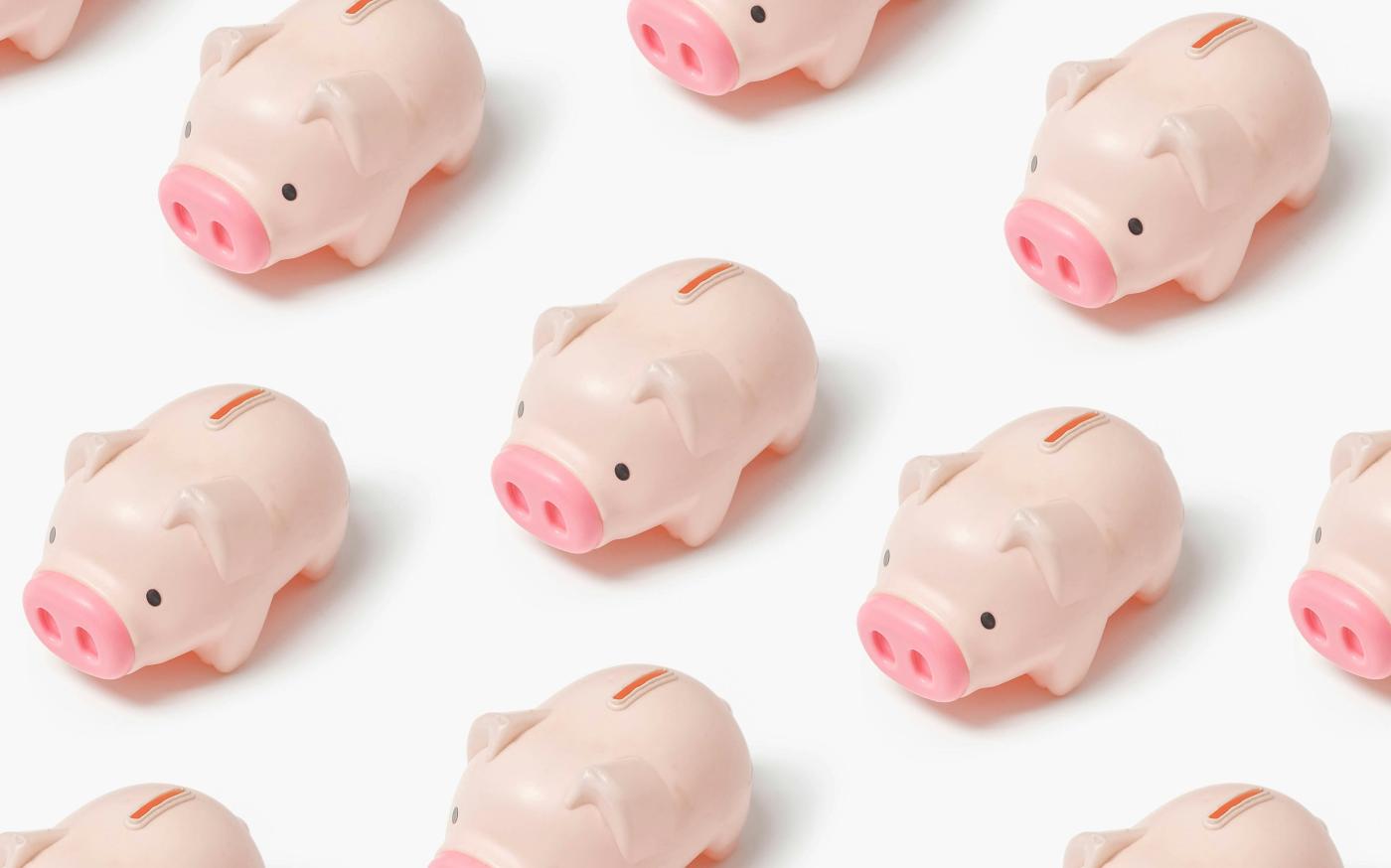 a group of small pink pigs sitting next to each other by insung yoon courtesy of Unsplash.