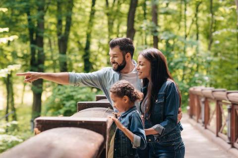 Investment Planning Services | First Financial Associates