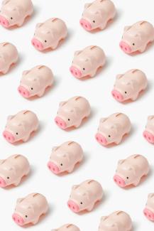 a group of small pink pigs sitting next to each other by insung yoon courtesy of Unsplash.